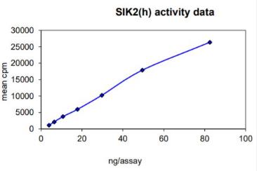 Activity Data (SIK2-228H).jpg